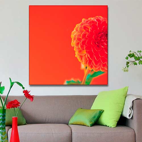 Quadro Decorativo - Flores Dália
